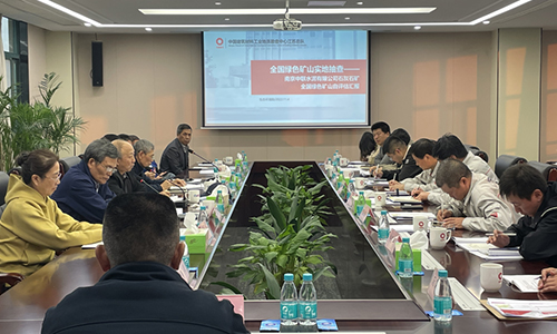專家組一行實地察看公司綠色礦山建設情況