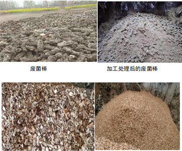 洛陽中聯(lián)使用生物質燃料替代化石燃料