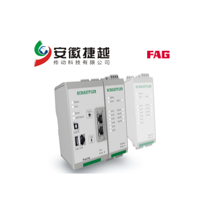 FAG多通道有線狀態(tài)檢測(cè)系統(tǒng) Prolink